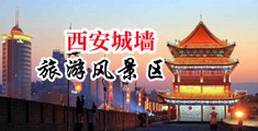 大鸡巴操大烧逼中国陕西-西安城墙旅游风景区